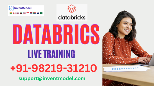 Databrics Live Training Icon